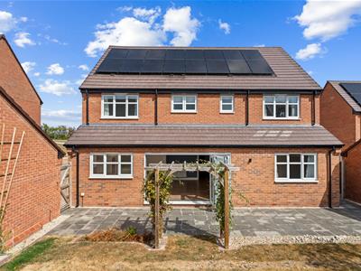 Picture 24